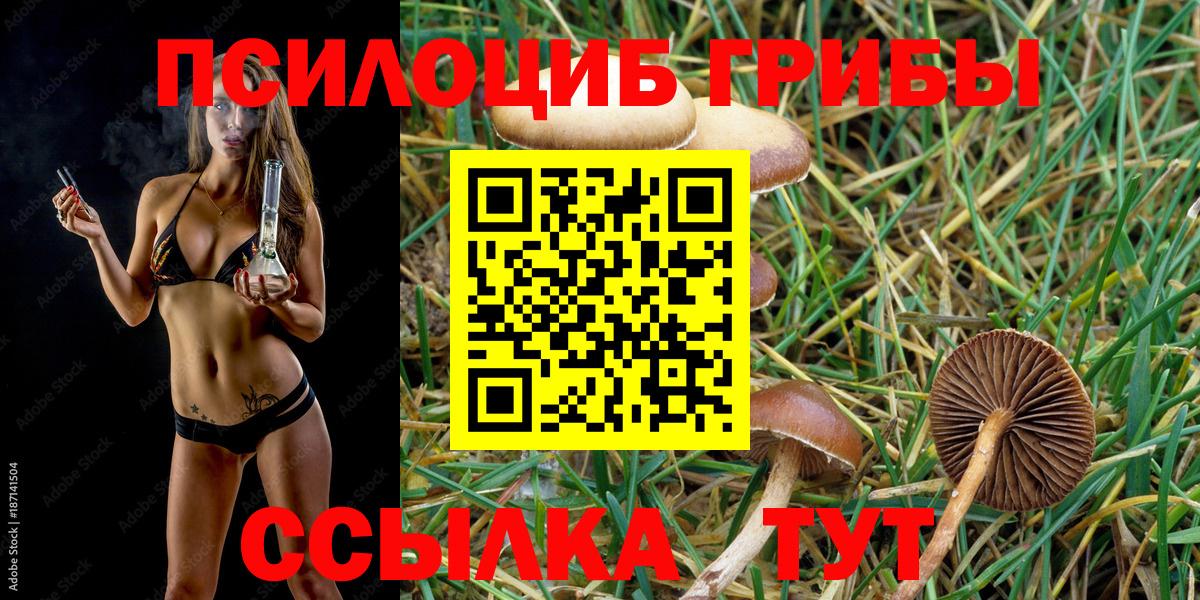 Псилоцибиновые грибы Psilocybine cubensis  Вход с VPN  Фрязино 